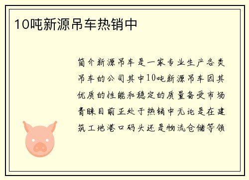10吨新源吊车热销中