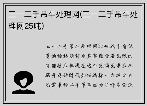 三一二手吊车处理网(三一二手吊车处理网25吨)